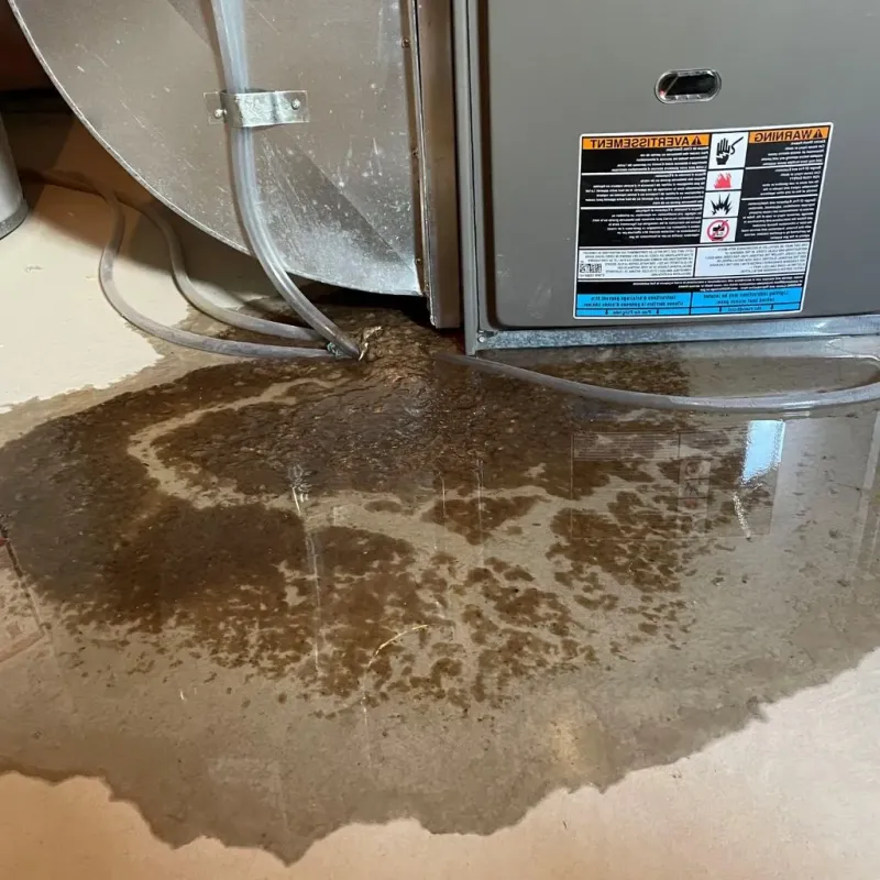 Pipe Burst and Leak Restoration in Canyon Rim, UT