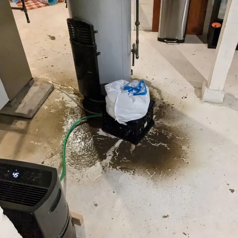 Sewage Backup Cleanup Service in Canyon Rim, UT